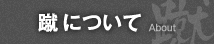 蹴について